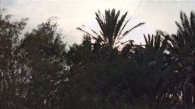 Парк Эйн Афек, Кирьят-Бялик смотреть онлайн