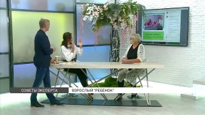 Советы психолога: как побороть инфантилизм?