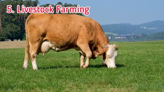 10 Leading Agricultural Business Ideas in Africa 2022