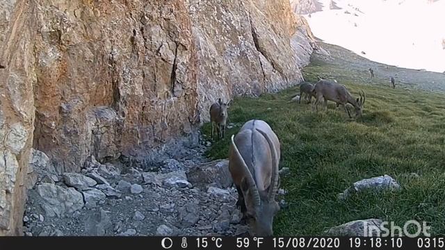 ПАМИР... ЭТО ВСЁ СНЯЛА СКРЫТАЯ КАМЕРА смотреть онлайн