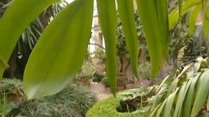 69 Сады мира