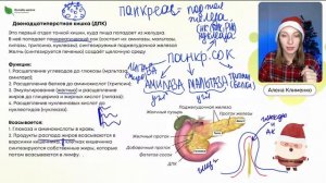 Пищеварительная система | ЕГЭ 2023