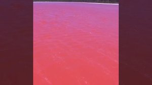 Розовое озеро