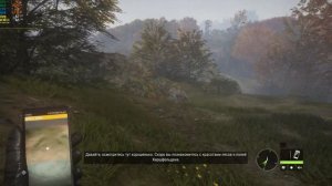 theHunter: Call of the Wild ➣ Оптимальные настройки графики