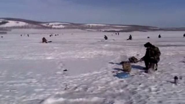 Шарыпово,рыбалка