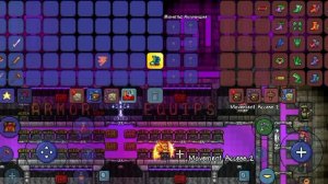 мир в Террарии со всеми вещами говорю показываю ID