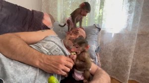 Влад решил отдохнуть, но Степа, Маня и Басик ПРОСТО АТАКОВАЛИ папу)))