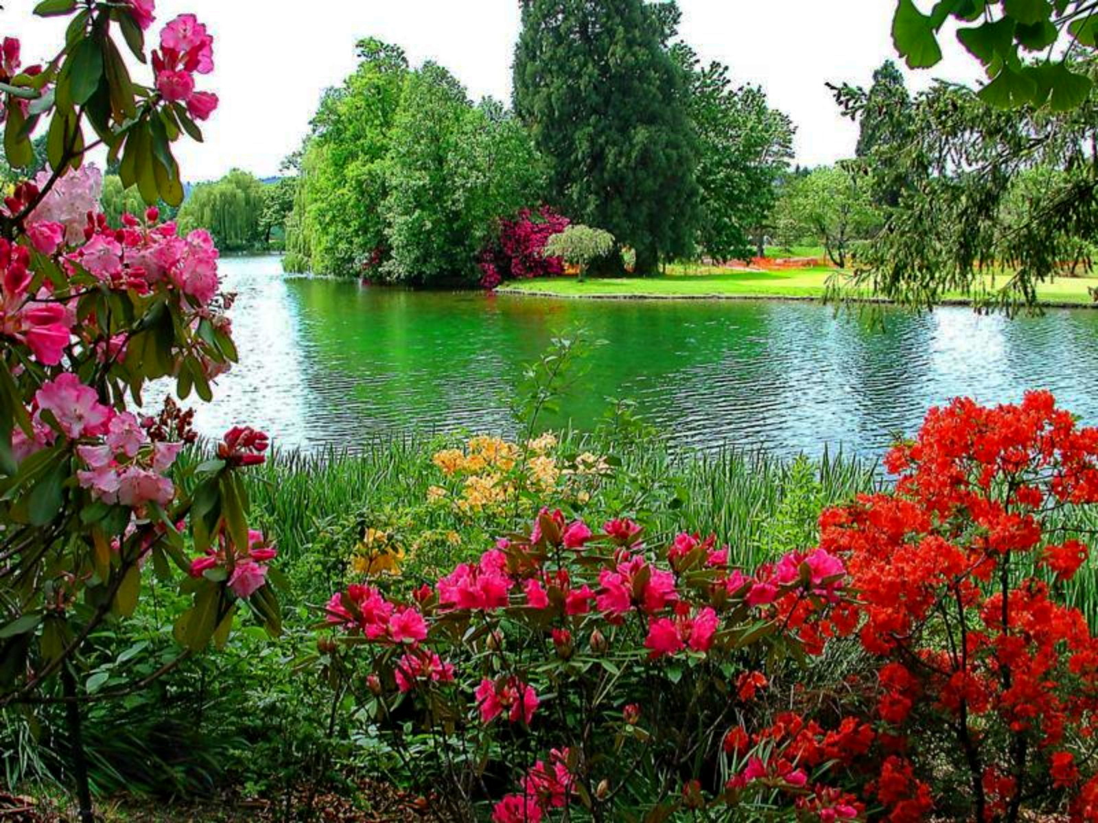 По над рекой сад цветет. Красивый пруд. Цветы в саду. Цветущий сад. Красивые пейзажи с цветами.