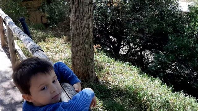 Алехандро....наконец то!Жираф!! смотреть онлайн