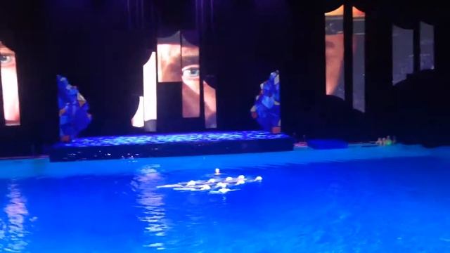 Синхронное плавание Шоу Олимпийских Чемпионов 2015, Олимпийский смотреть онлайн