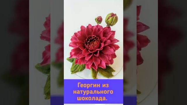 Шоколадные цветы.