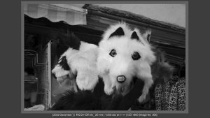 Ricoh GR IIIx Blew My Mind! The Real World Review.