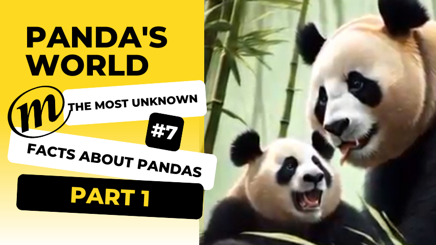 The most unknown facts about pandas, Part 1,