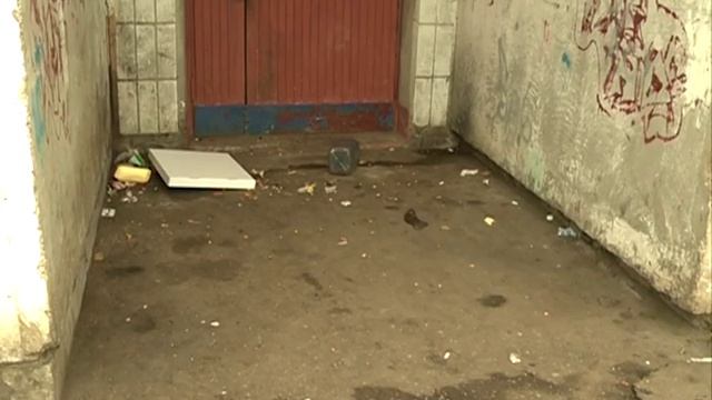 Убили собаку за и против смотреть онлайн