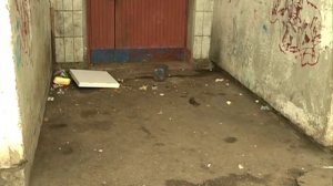 Убили собаку   за и против