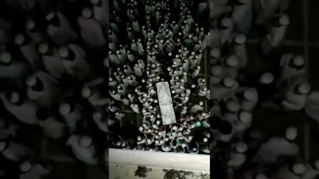 حضرت انور شاہ کشمیری کے پوتے مولانا نسیم اختر شاہ قیصر  کے جنازے کو لے جاتے وقت دو جنات سبحان اللہ