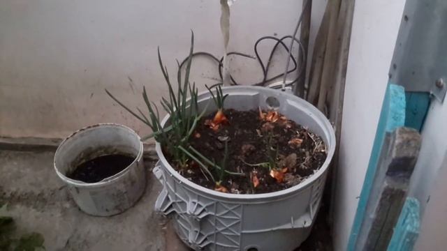 наш огород под окном смотреть онлайн