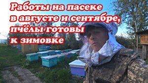 КАКИЕ РАБОТЫ СДЕЛАННЫЕ В СЕНТЯБРЕ С ПЧЁЛАМИ, СЕМЬИ ГОТОВЛЮ К ЗИМОВКЕ.