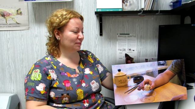 ГОМУНКУЛ НЕ СУЩЕСТВУЕТ. Реакция ветеринара на #гомункул смотреть онлайн