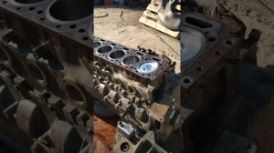 Продолжаем ремонт двигателя вейчай вп6, своими силами