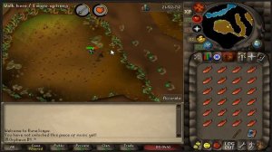 Old School RuneScape - 'Fairytale I - Growing Pains' flinching set up