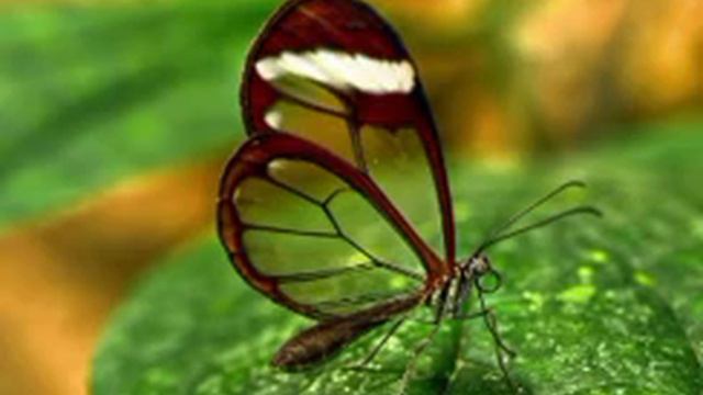 22 сентября. День за днëм смотреть онлайн