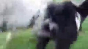 Динь динь динь,колокольчик звенит