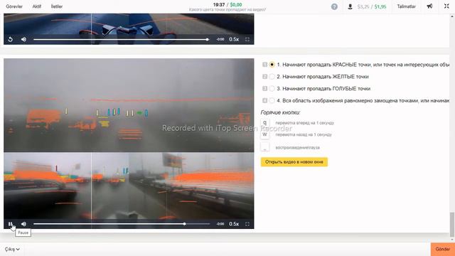 Какого цвета точки пропадают на видео? #ЯНДЕКС ТОЛОКА смотреть онлайн