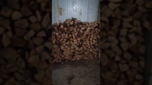 Котёл твердотопливный будерус s 131 22h