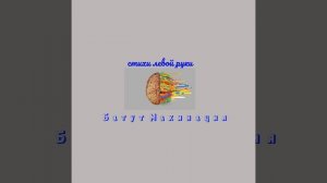 Повар в столовой