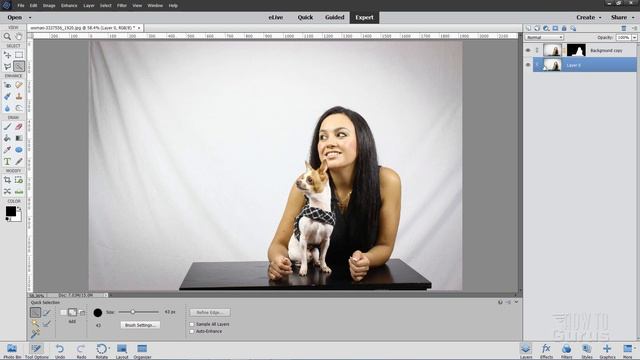 How You Can Use the Photoshop Elements Quick Selection Tool to Change a Background смотреть онлайн