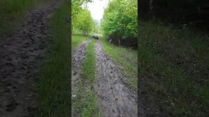 Трицикл  на базе мотоцикл урал