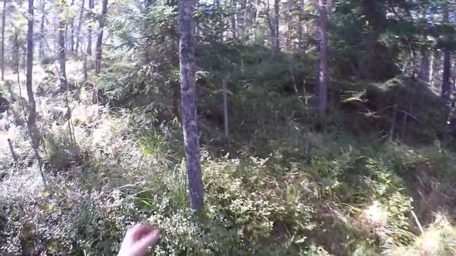 GoPro Hero 4 тест камеры | Онлайн прогулка по Ладоге | Online walk on Ladoga
