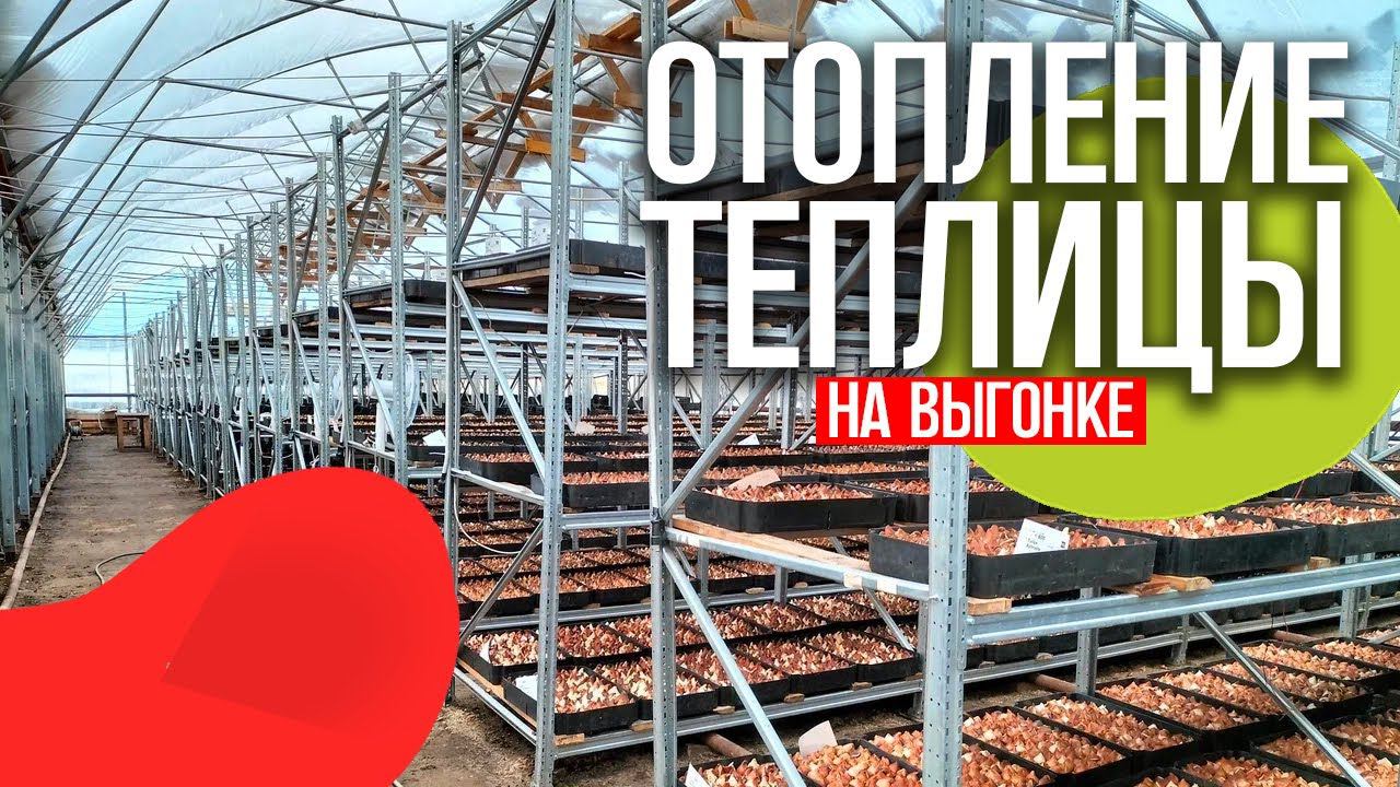 Отопление в теплице #выгонкатюльпанов #теплица #веревкинхутор