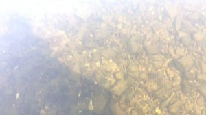 Река Амга. Якутия. Amga River. Амма