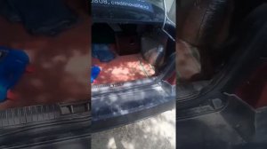 пружына багажник нексия