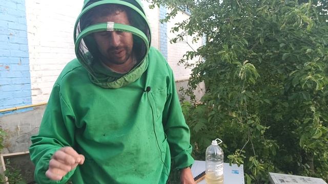 Как заставить пчел тянуть вощину. Как заставить пчёл строить соты. Когда пчелам подставлять вощину