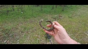 Необыкновенные находки в старом русле реки Дон