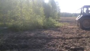 Раскорчевка полей