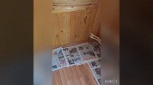 Крашу стены на своей даче!