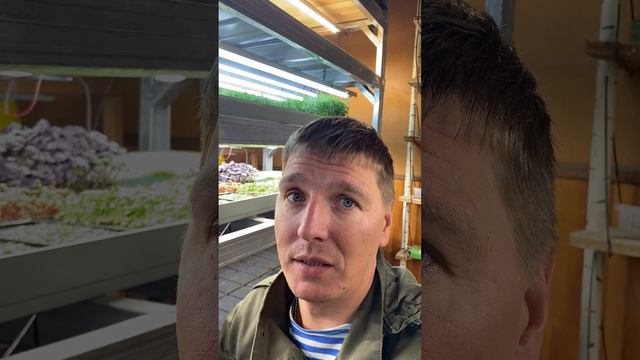 Рассаду надо?😂