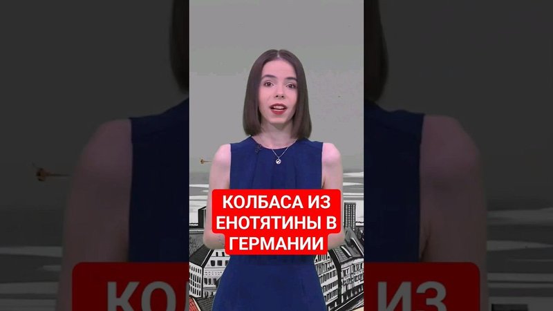 А вы бы попробовали фрикадельки из енота, камрады? #папочкаканцлера #германия #немцы