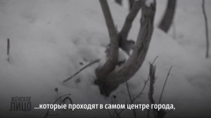 «Женское лицо»: манифест Надежды Баглей