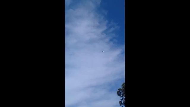 Голубята по Моим Голубям уже радуют Людей этой Весной 18.05.23 смотреть онлайн