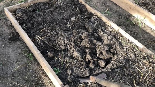 Как подготовить грунт в теплице с осени от А до Я!!!