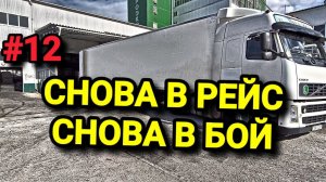 СНОВА В РЕЙС СНОВА В БОЙ. БЕЛАРУС ДАЛЬНОБОЙ #12