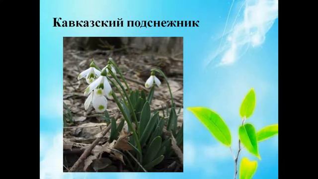 Экологическое ассорти смотреть онлайн