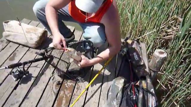ловля сазана, ч.2 Чудное озеро, Ростов-на-Дону смотреть онлайн
