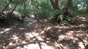 Соня-полчок в истоках реки Цемес.