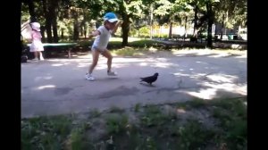 Как научить летать голубей!